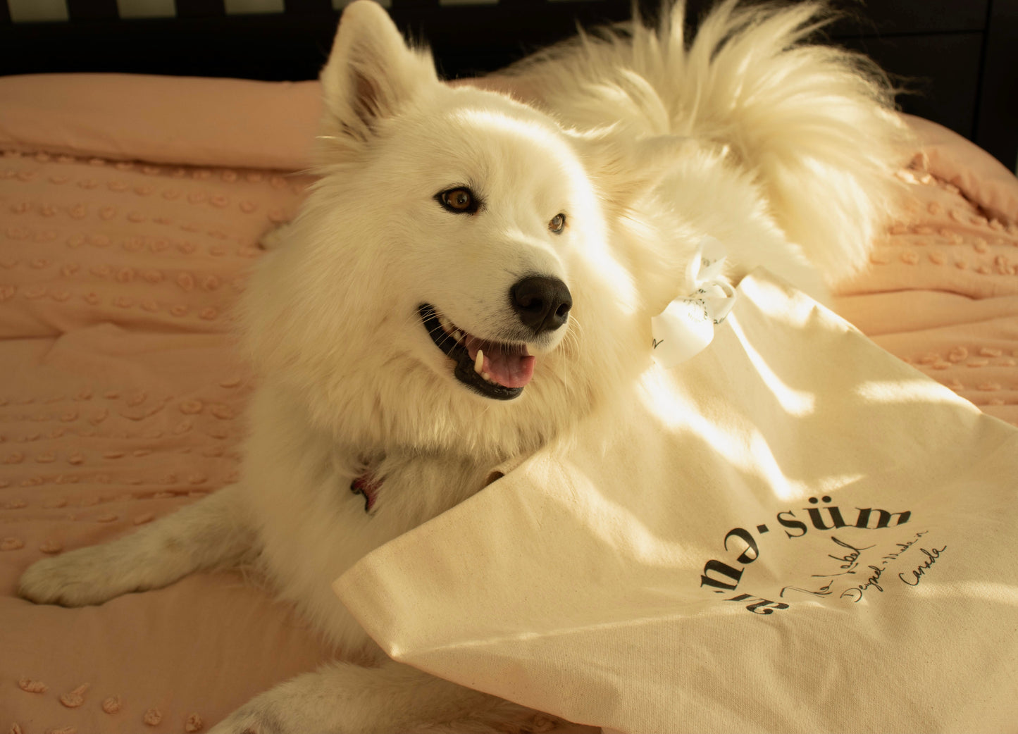 ONiSM Tote Bag
